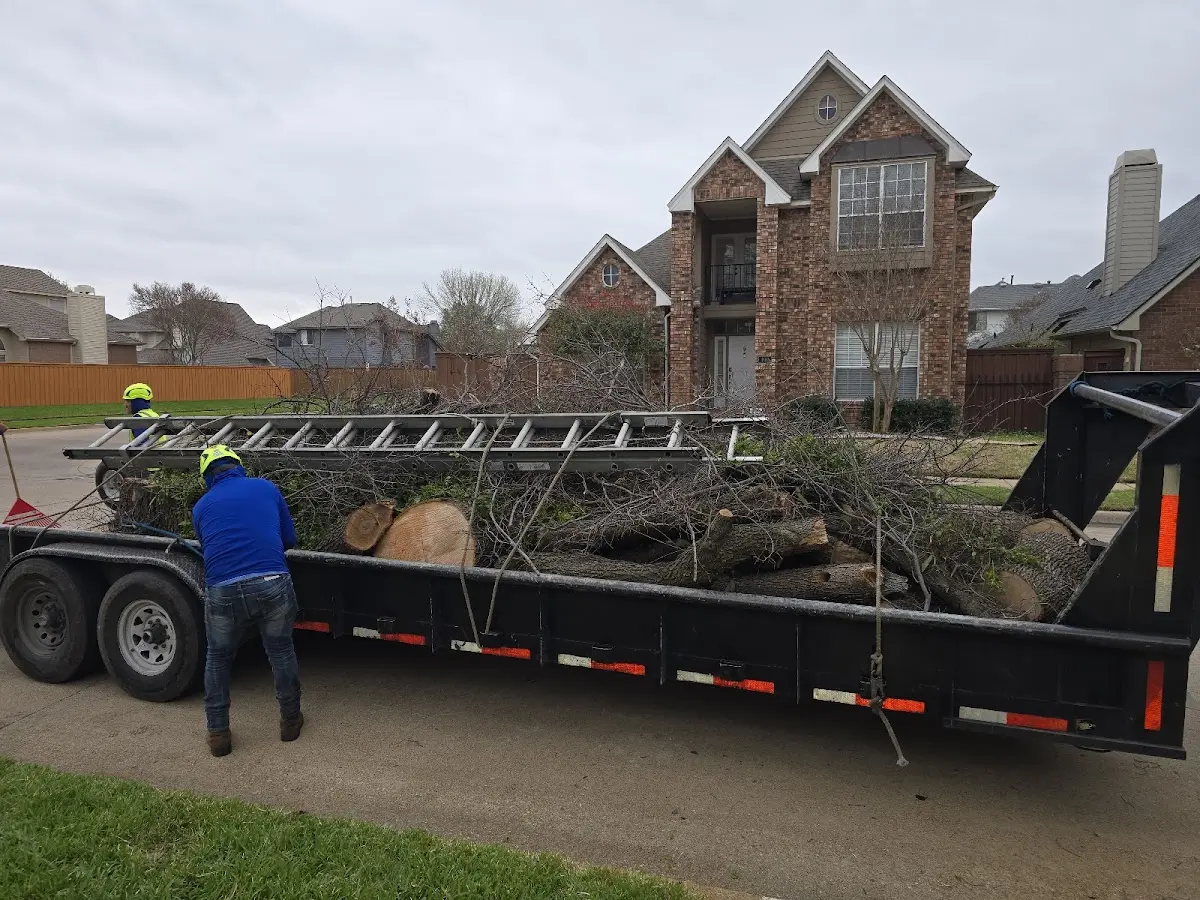 Expert Crown Reduction with proper safety equipment in Chimney Rock
